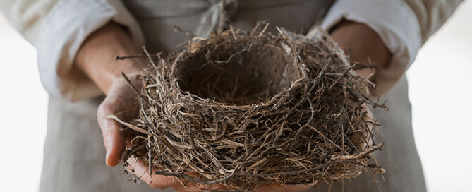 The Trauma Recovery Collaborative - Empty Nest Syndrome and the Shadow of Narcissistic Upbringing