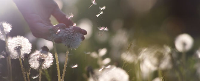 The Trauma Recovery Collaborative - Finding Freedom-The Art of Letting Go of Toxic Relationships